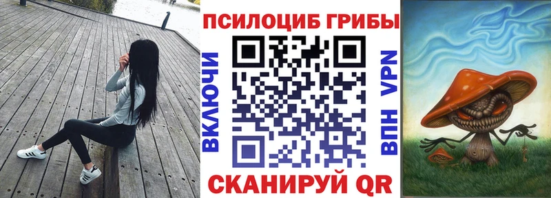 Купить закладки  Бобров  Галлюциногенные грибы Magic Shrooms 
